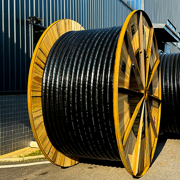 Cable